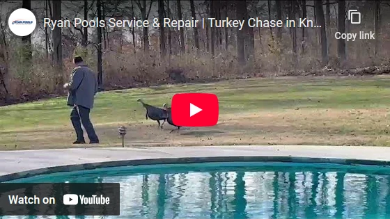 Ryan Pools Service & Repair | Turkey Chase in Knoxville, TN